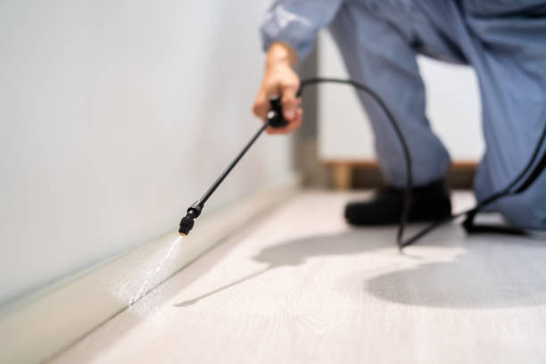Bed Bug Pre-Treatment Preparation Assessment in Centerfield
