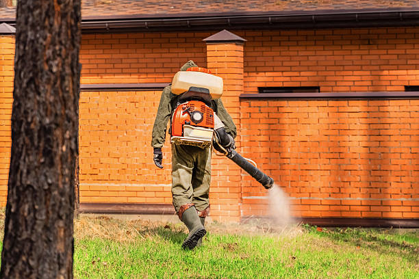 Bed Bug Clearance Verification and Documentation in Centerfield
